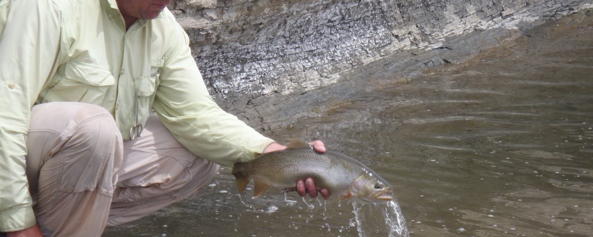 Fontenelle Wyoming Fly fishing guides