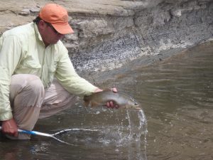 Fontenelle Wyoming Fly fishing guides