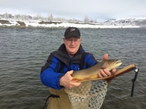 Guided fly fishing in jackson hole