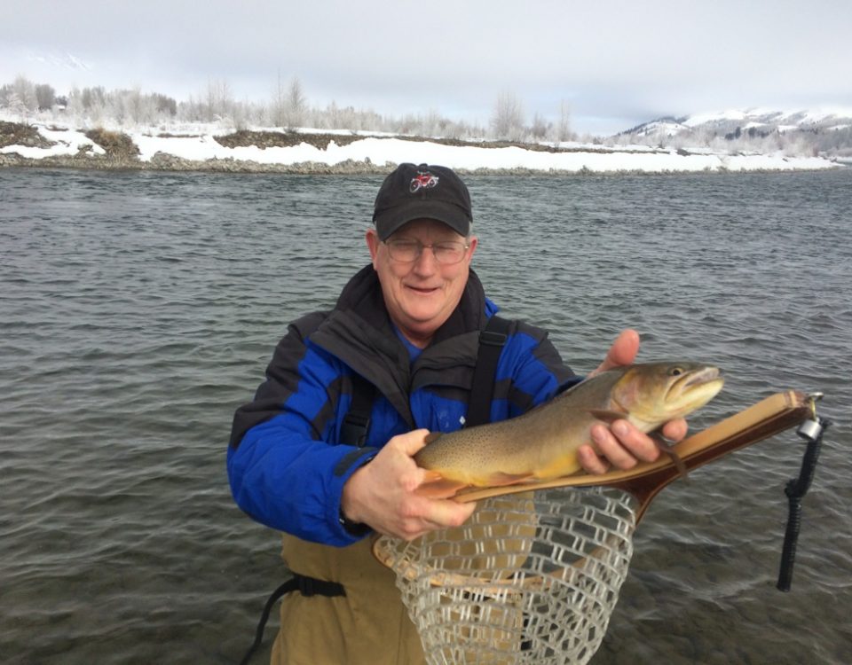 Guided fly fishing in jackson hole