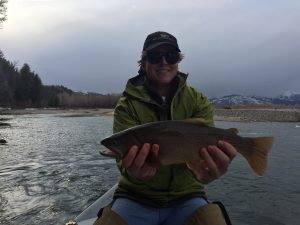 Snake River JAckson Hole Fly Fishing guides