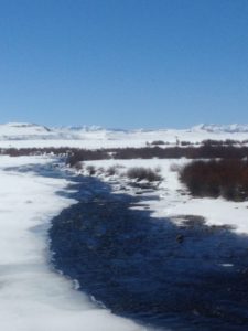 Upper Green River Fly Fishing Guides