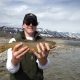 Fly Fishing Jackson Hole