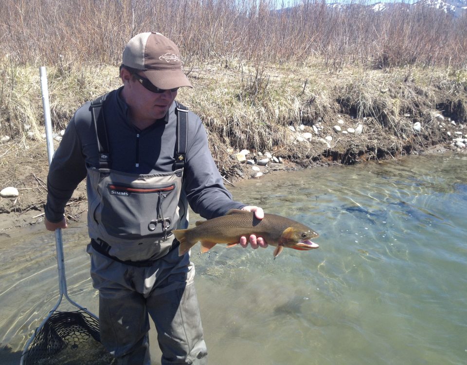 Jackson Hole Fly Fishing guides