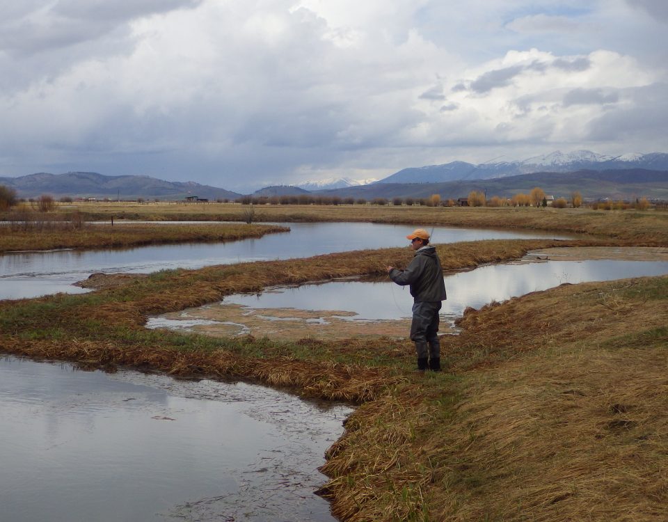 Wyoming Fly fishing Guides