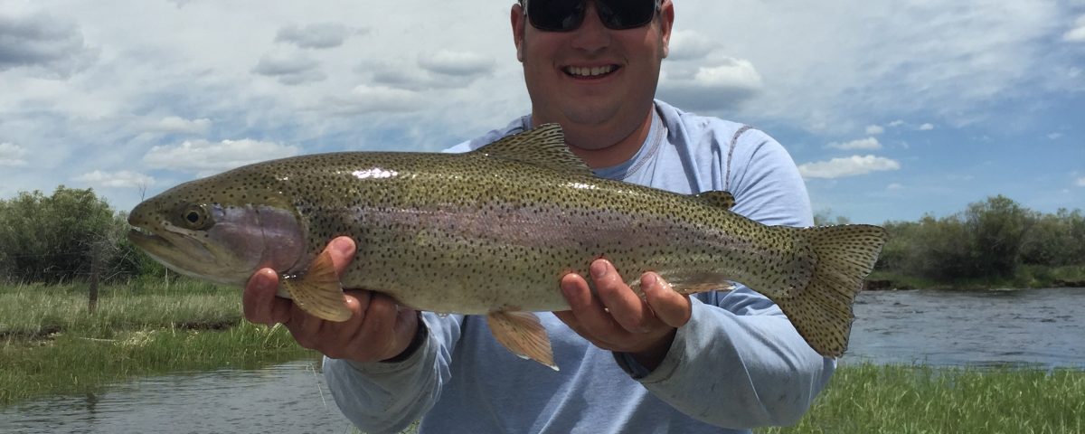 Upper Green River Wyoming Fishing Guides