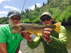 Snake River Fly Fishing Trips
