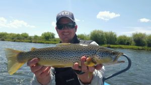 Upper Green River FLy Fishing Guides