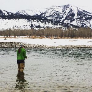 Fly Fishing Guides Jackson Wyoming