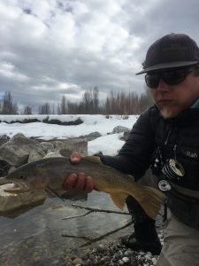 Snake River Fishing Guides