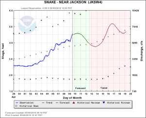 Snake River Fly Fishing guides