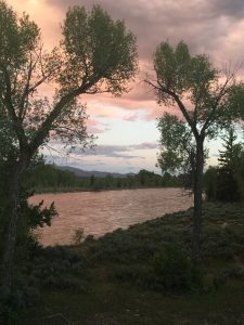 Fly fishing guides jackson wyoming