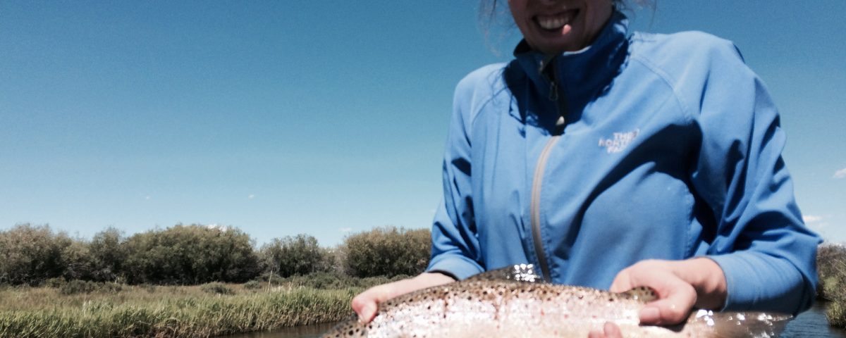 Green River Pinedale Wyoming Fishing Guides