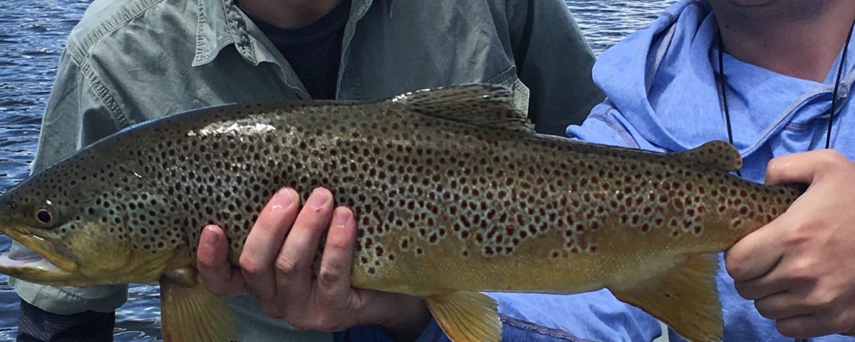 Pinedale Wyoming Fly Fishing guides
