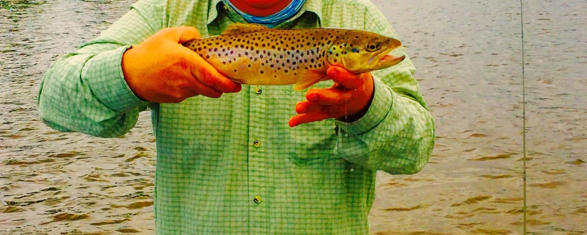 New fork River Fishing guides