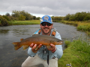 9-5-2014-Fork-007-300x225