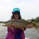 Fly fishing Green River Wyoming