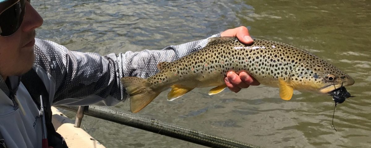 Fishing guides pinedale wyoming