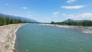 Snake River Wyoming Fishing Guides