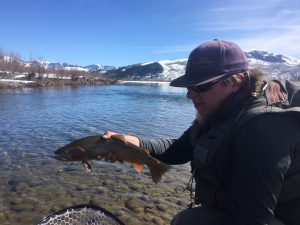 Fly Fishing Jackson Hole Wyoming