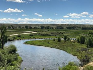New Fork River Fly fishing report