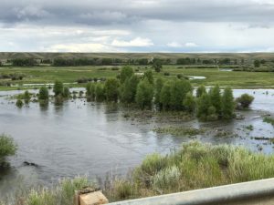 New Fork River Wyoming Fishing Guides