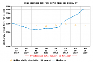 Fishing Guides New Fork River Wyoming