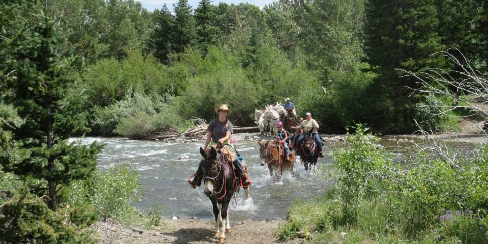 Wyoming Pack Trips