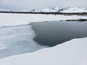 fly fishing jackson hole snake river