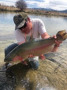 jackson wy fly fishing guide